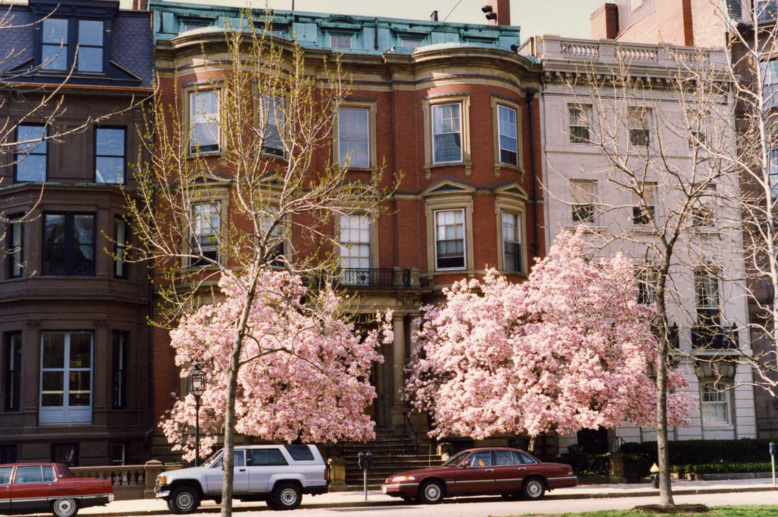 15 Commonwealth 1996, photo by Diana Nugent